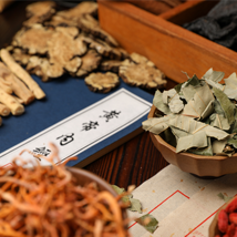 推荐专业：中药